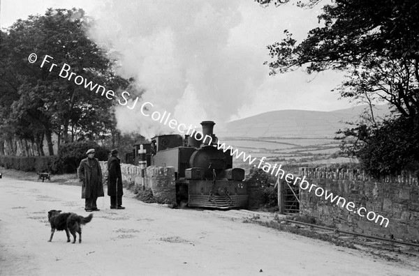 DINGLE TRAIN ON MAIN ROAD